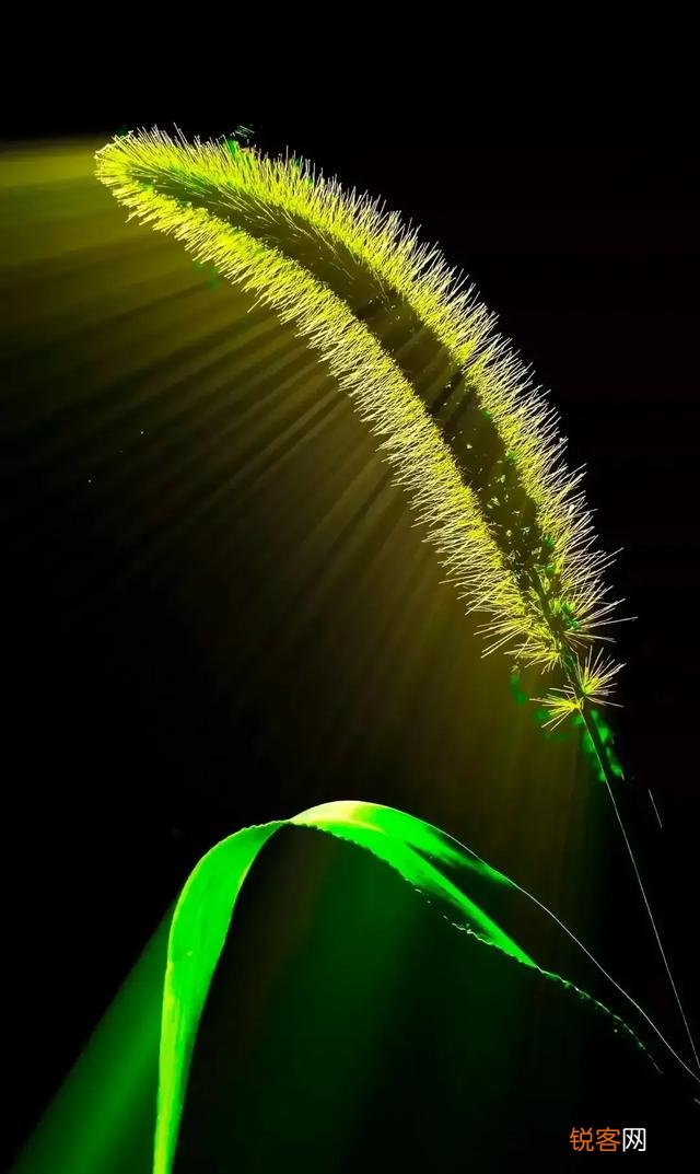 农历七月十四是什么节？要做哪些事？