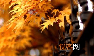 立秋优美一句话 关于立秋优美一句话