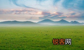 什么的小草 什么的小草填空