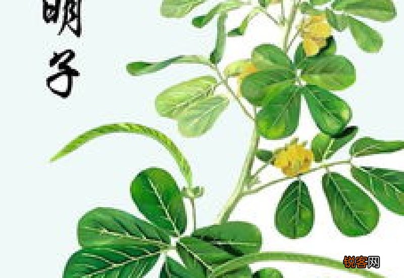 艾灸什么季节做最好