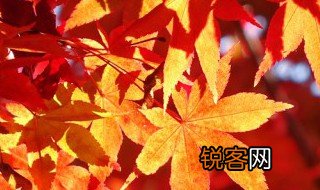 立秋的优美诗句 立秋的优美诗句有哪些