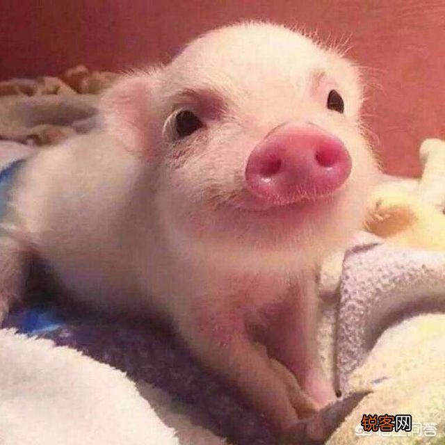 男生喜不喜欢有肉感的女生呢？你怎么看？