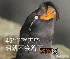 你听过最沙雕的经典语录是神马？