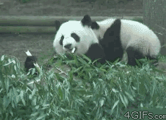 你听过最沙雕的经典语录是神马？