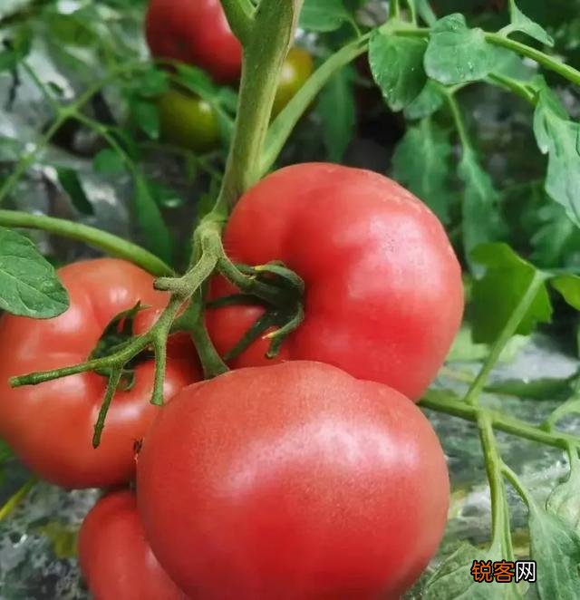 摆地摊,从哪个渠道可以拿到比较便宜的货？望有经验的条友支个招？