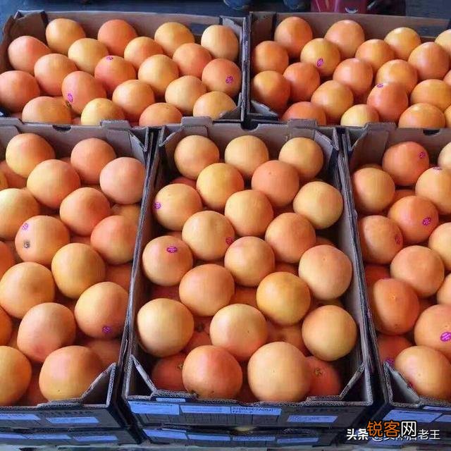 本人想做水果批发生意,怎么找到原产地货源？