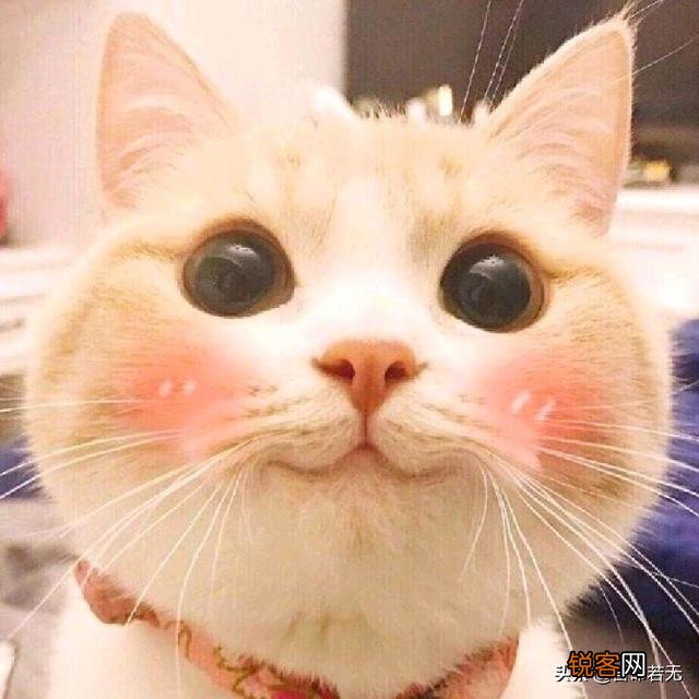 有哪些进货渠道App？