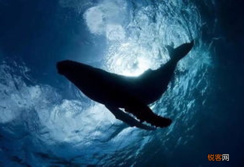 做完泥灸放屁是怎么回事