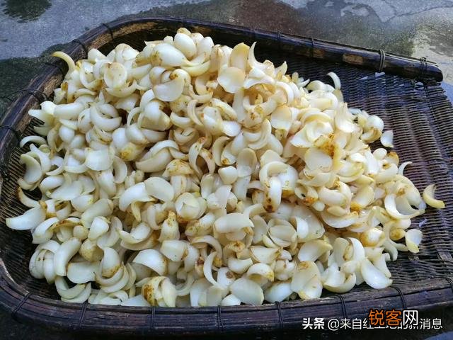 本人想到家乡镇上做粮油,调料干货批发生意,进货渠道怎么找？