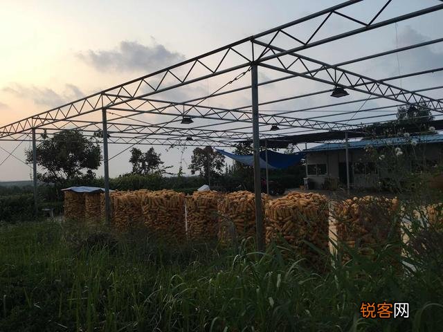 有哪些可以领回家做的手工活？