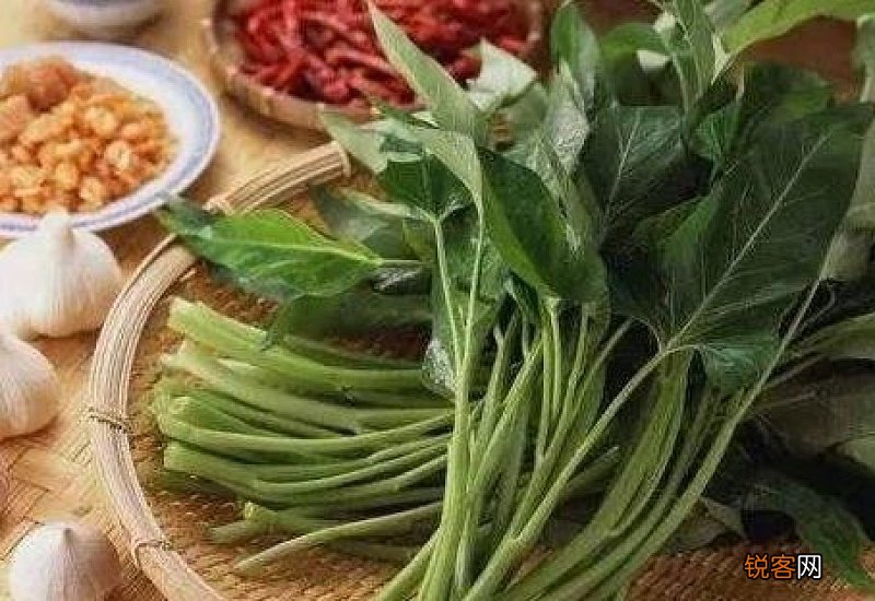吃菇茑便秘吗