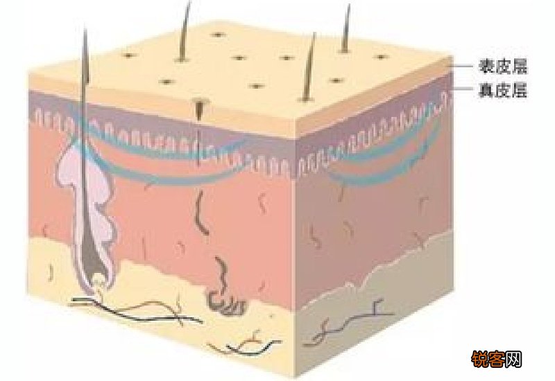 射频美容有什么副作用 射频美容有哪些注意事项