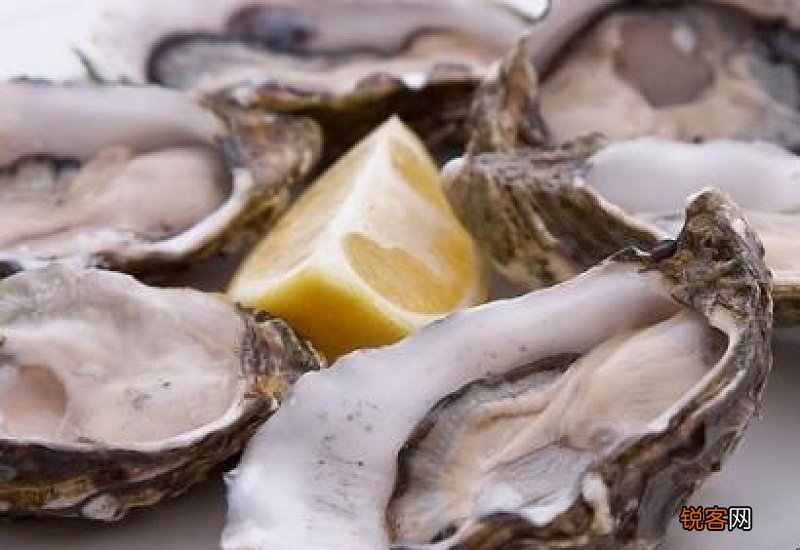 生蚝内脏在哪里怎么去除