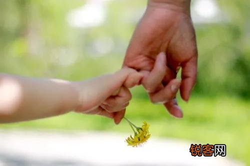 我妈和媳妇天天不上班,在家谁也不做饭,天天等我下班买菜做饭怎么办？