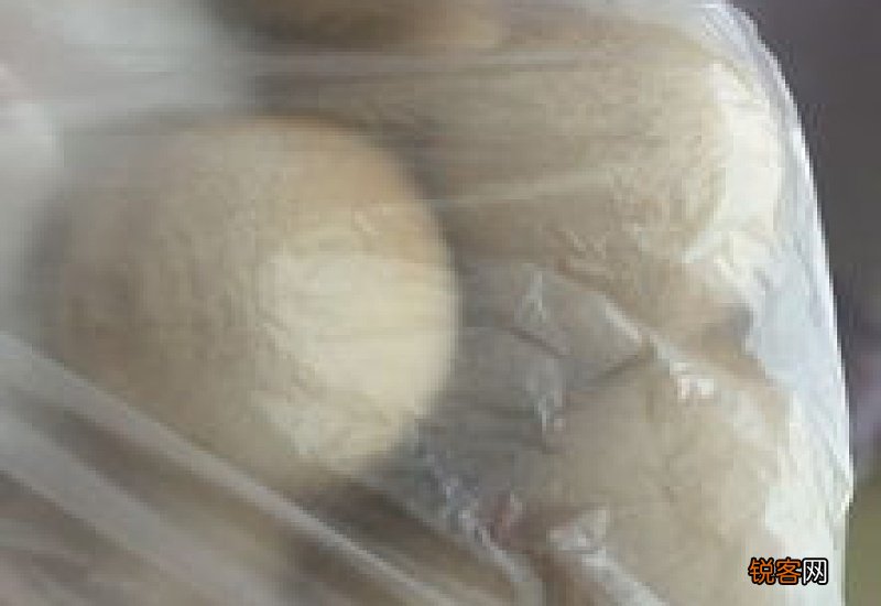 闻樟脑丸一夜会怎么样