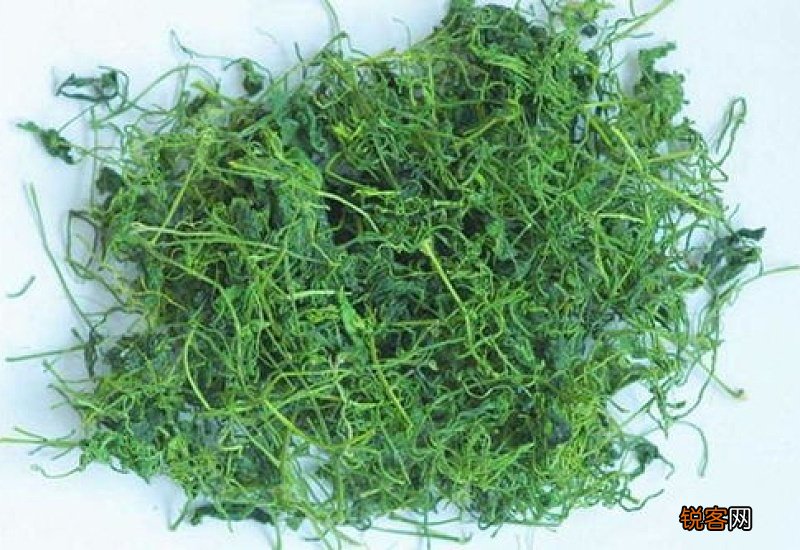 绞股蓝能长期喝吗