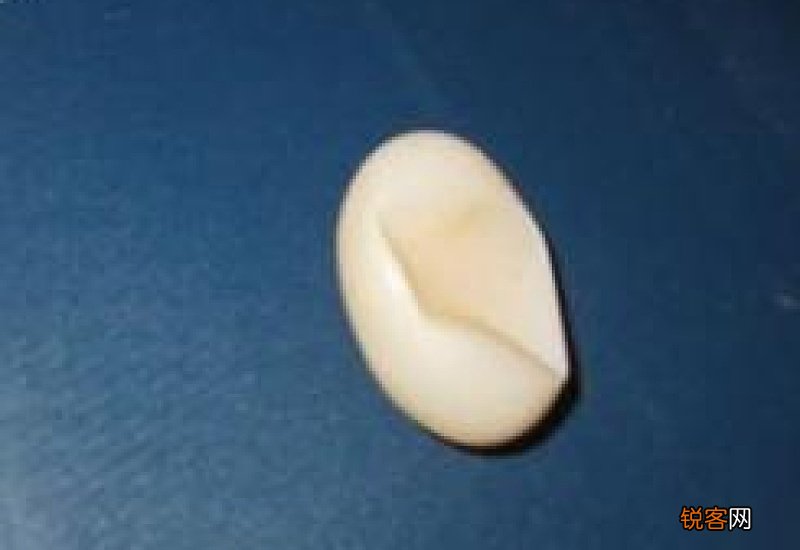 乌龟蛋瘪了怎么回事