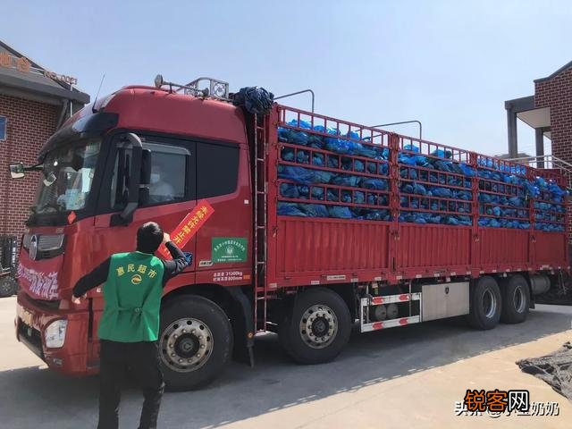 谁能告诉我,上海现在怎么样才能在网络买菜平台买到菜？