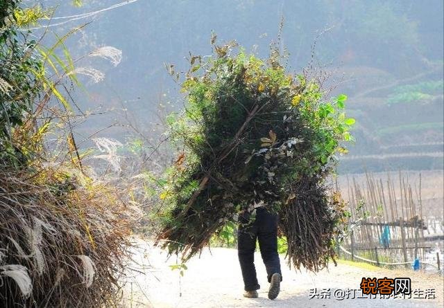 70后,还记得当年那些家务活吗？