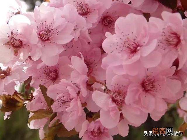 六、七十年代,农村没有电、电视等,当时的青少年是怎么玩的？