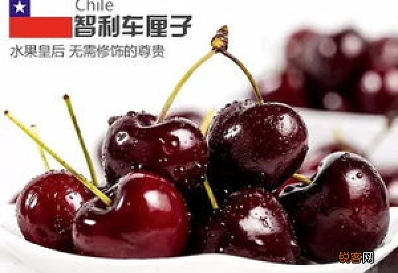 科迪亚车厘子和智利车厘子哪个好