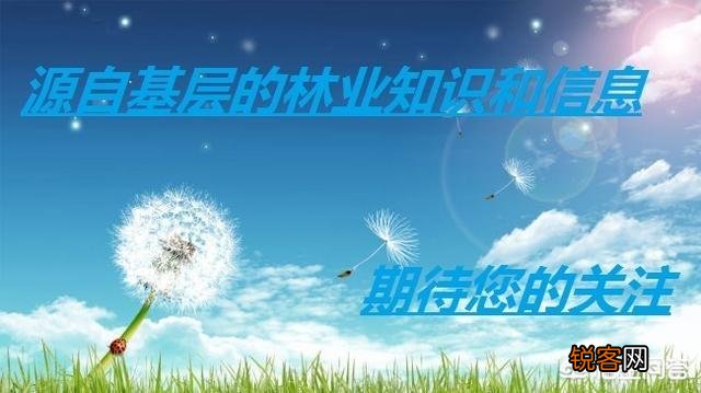 你还记得70年代初的农村人是怎么过年的吗？
