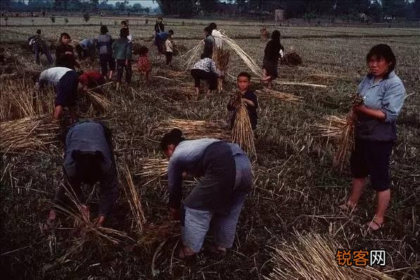 农村70年代出生的孩子,记忆最深的是什么事？