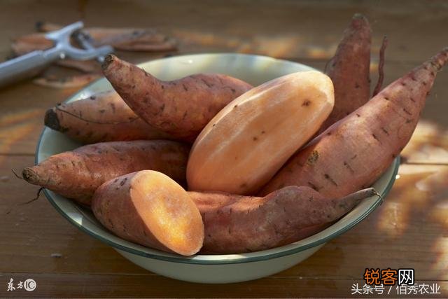 农村70年代出生的孩子,记忆最深的是什么事？