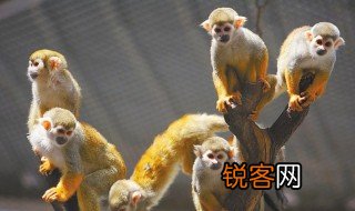 2016年是什么年 普通闰年的含义