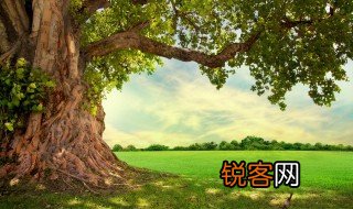 立木取信的信是什么意思 立木取信中信的意思
