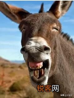 70年代农村生产队的饲养员是个好差事,却都不愿意干,为什么？