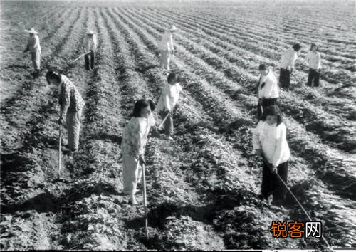 70年代农村生产队的饲养员是个好差事,却都不愿意干,为什么？