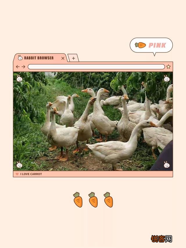 70年代的时候,即使不在农村,能吃上肉是不是也是一件美事？