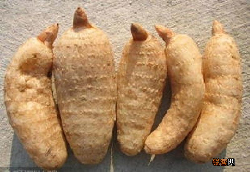 天麻一个月吃几次合适