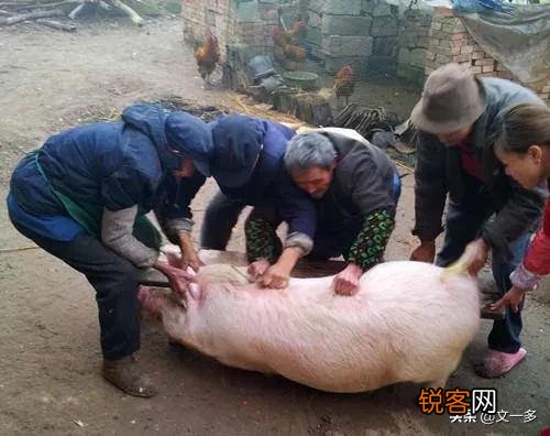 说说上世纪六、七十年代农村过春节,你那里都吃些什么？