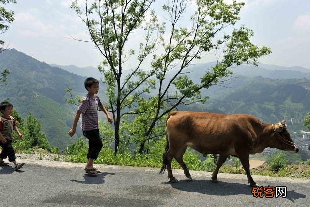 70年代出生的人,最大的有五十多岁了,你们生活过得还好吗？