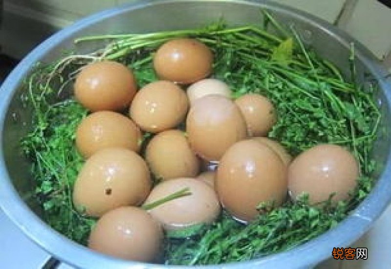 晒干的艾叶能煮鸡蛋吃吗