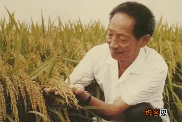 北协和,南湘雅,袁隆平临终所在的湖南湘雅医院有多厉害？