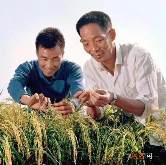 北协和,南湘雅,袁隆平临终所在的湖南湘雅医院有多厉害？