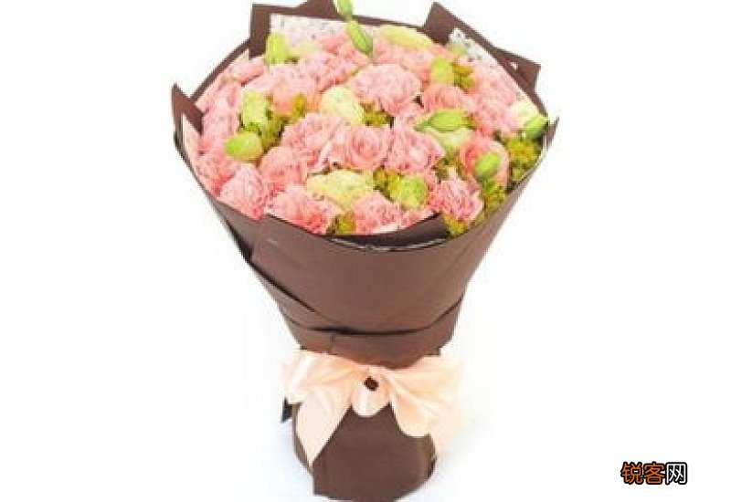 朋友住院送什么花比较好