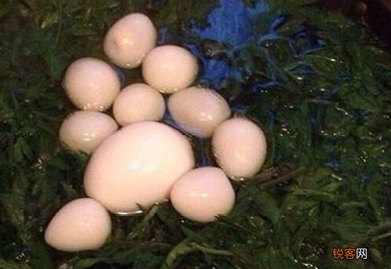 艾叶可以反复煮鸡蛋吗