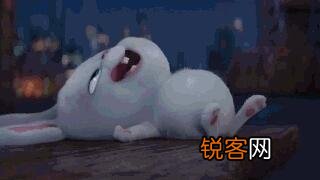 为什么《战狼二》在国外票房很少？