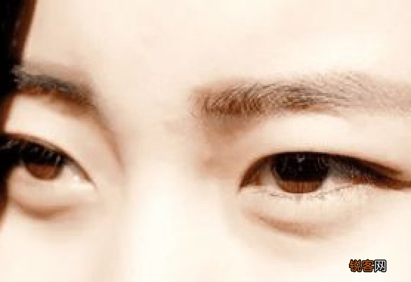 艾草敷眼睛可以去黑眼圈吗