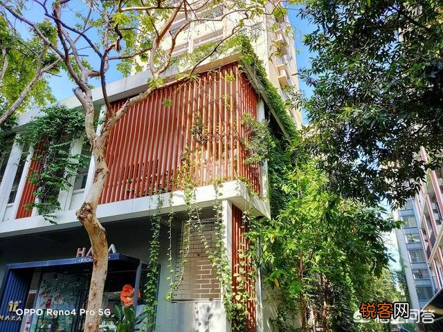 Reno4 Pro和荣耀30 Pro,拍照实力谁更好一点？