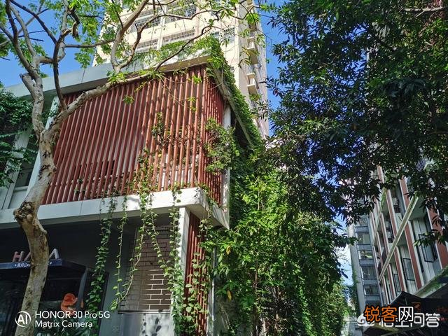 Reno4 Pro和荣耀30 Pro,拍照实力谁更好一点？