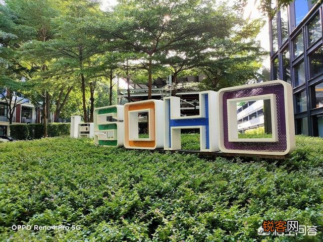 Reno4 Pro和荣耀30 Pro,拍照实力谁更好一点？