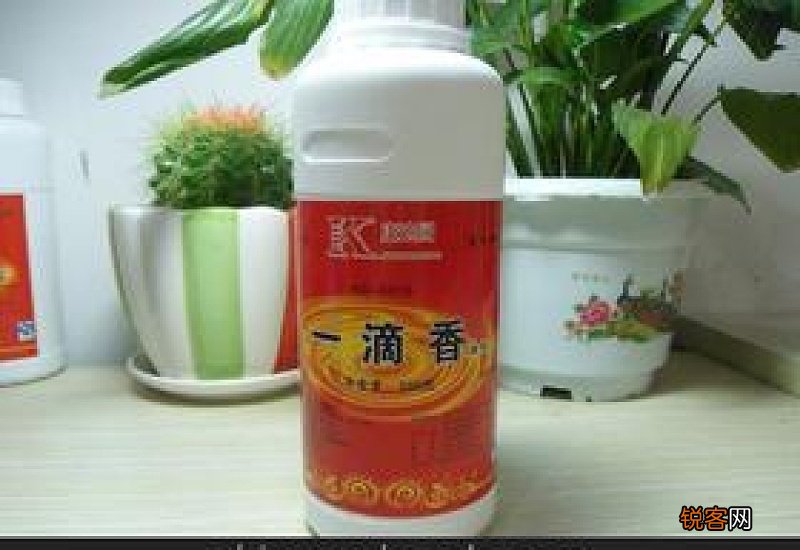 奇子香一滴香国家让用吗