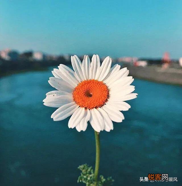 怎么样才能体面的不伤害一个人离开？