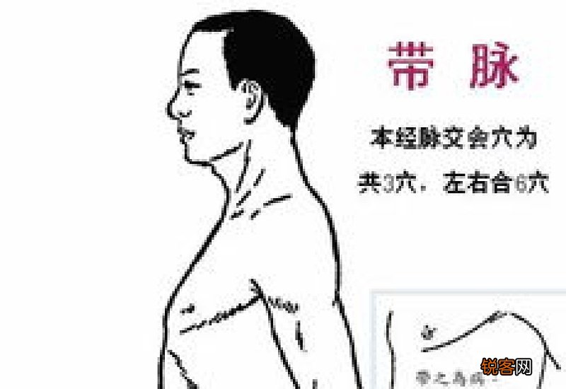 一天可以拍打几次带脉
