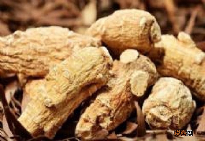 哪些人不适合吃西洋参和黄芪